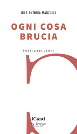 Ogni cosa brucia Iula Antonia Marzulli