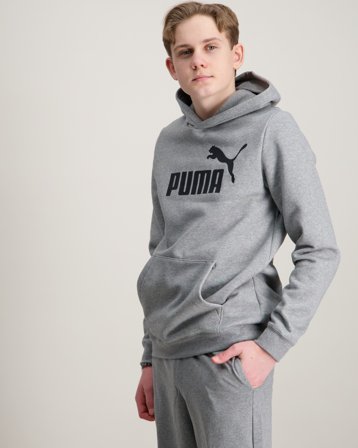 Puma ESS No. 1 Logo Hoodie FL B Harmaa Hupparit/Hoodie Pojat - Kids Brand Store