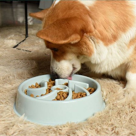 Anti-gulping Interactive Dog Bowl Slow Feeder
