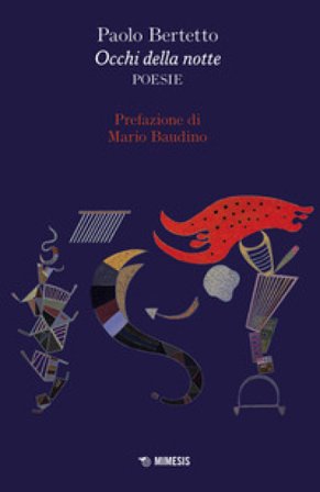 Occhi della notte Paolo Bertetto