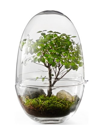 Design House Stockholm Grow Greenhouse Large - Nude - H32CM
