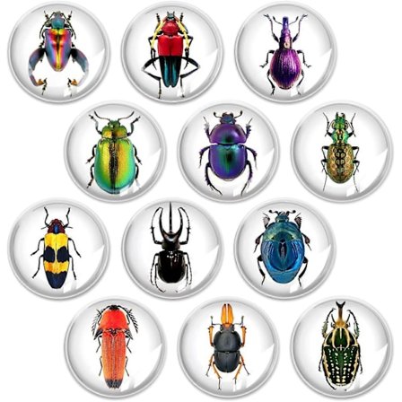 12 stk. kjøleskapsmagneter i glass - 35 mm (insekt kjøleskapsmagnet)