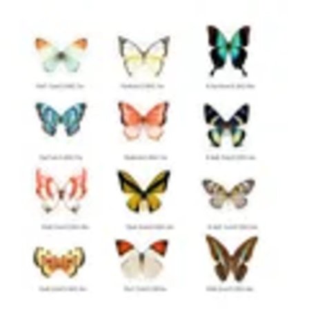 6 stk/sæt Fugle Anti-fugl 3D Slagvarsel Elektrostatisk klistermærke Kat Dinosaur Sommerfugl Glas klistermærke Limløs PVC Vinduesfilm JD006