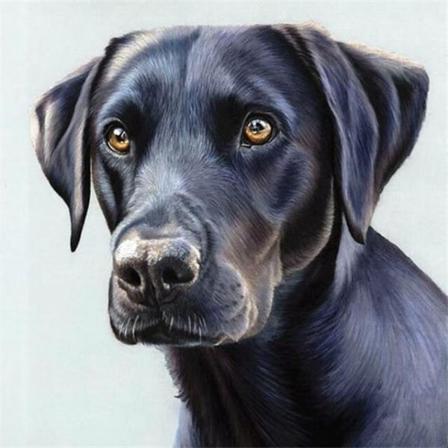 30 x 40 cm, Hundediamantmaleri Broderi Diamantmaleri Lærred