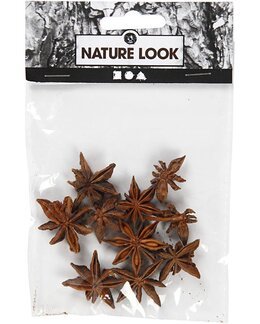 Koriste Tähtianikset 10 kpl