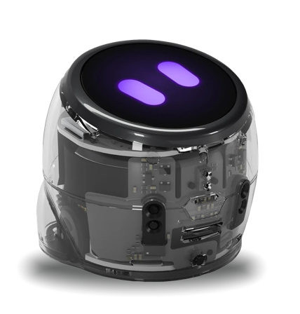 OZOBOT MINT Coding Roboter Ari Entry Kit