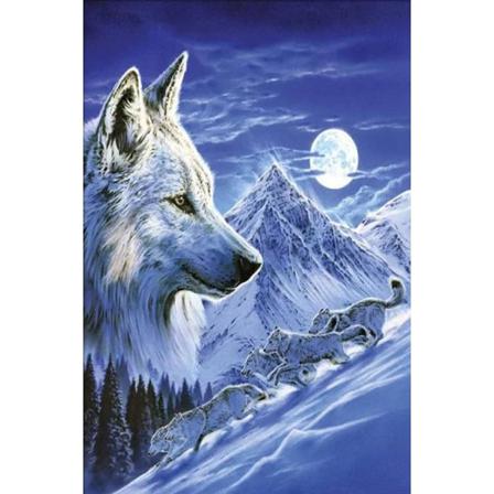 Diamond Painting 5d Diy Diamant Målning Stl.30*40cm
