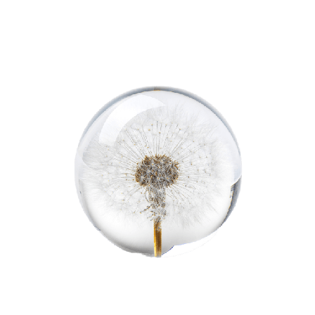 In Flore Dandelion Pappersvikt Inredningsdetaljer Vit