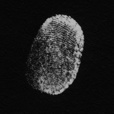 More touch Patricia Brennan