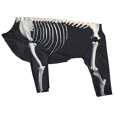 Kjæledyr Drakt 4-bens Hettematte Skjorte Pullover Antrekk Stor Hund Halloween Skjelett Kostyme [HK] XL