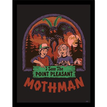 Steven Rhodes I Saw The Mothman Inramad Poster 40cm x 30cm Multi