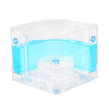 Diy Fugt Med Fodringsområde Myretue Myre Farm Myretuer Villa Kæledyr Til Husmyrer Myreværksted An(blå transparent)