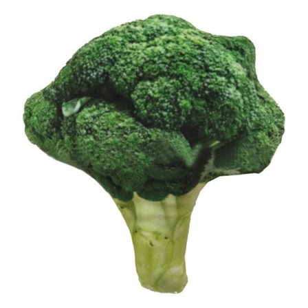 Hoppande fisk katt- och hundleksaker och 7-delad söndagskattmyntaleksaker