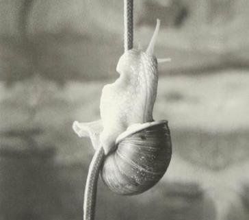 Eco fato AYASSOT ANDREA - QUI