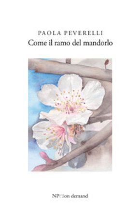 Come il ramo del mandorlo Paola Peverelli