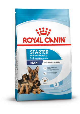 Royal Canin - Maxi Starter tørrfôr for hunder 15 kg - Hund - Hundefôr & hundemat - Tørrfôr for hund - ZOO.no