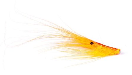 Pattegrisen - Orange #6