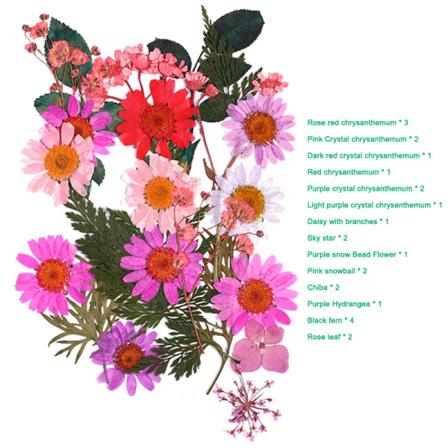Pressade blommor Blandade torkade blommor DIY Art Blomdekor Collection Gift Craft DIY A-1
