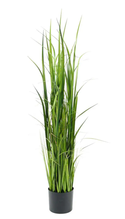 Mr Plant Kunstig Plante Gress H135cm