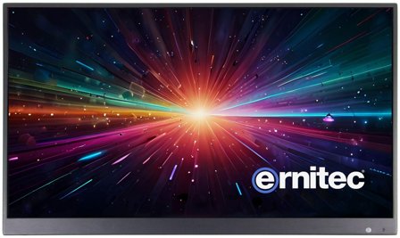 ERNITEC 22" Surveillance monitor for