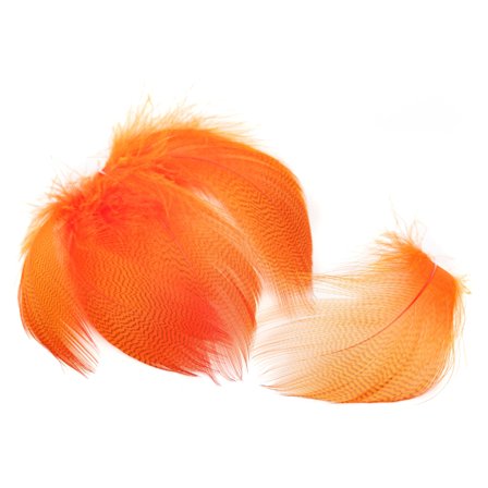 Mallard Barred Flank Large Select - Fl.Fire Orange