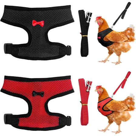 Set med 2 hund- och katthalsband med koppel, kyckling- eller anka- eller gås-väst justerbar