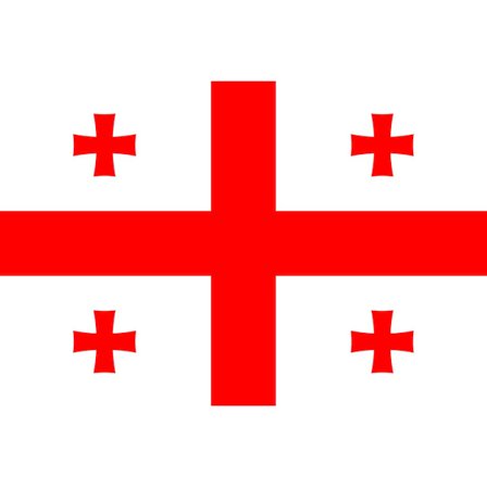 Georgia flagg