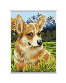 Paint By Numbers Corgi kävelyllä-WizardiArt
