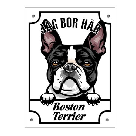 Plåtskylt Jag bo här Boston terrier Kikande hund skylt