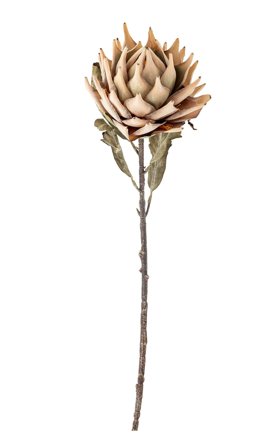 Bloomingville Kunstig Stilkblomst Protea Natur H76