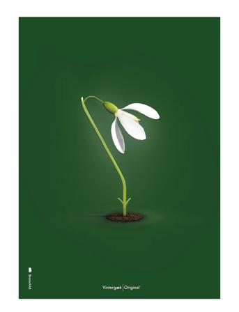 Vintergæk Grøn Home Decoration Posters & Frames Posters Botanical Multi/patterned Brainchild