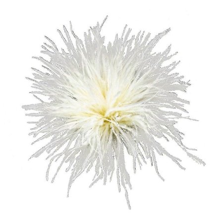 Fjäderbrosch Scarfs Clip Smycken Accessoarer Damkläder Dekorationer