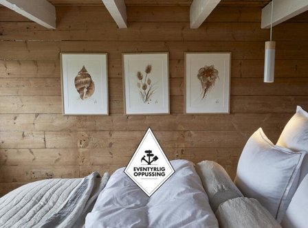 Nordic Wild Kunsttrykk Skjell EO 30x40cm Akvarellpapir