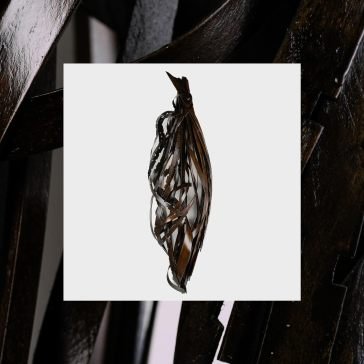 Interesting decisions INTO IT. OVER IT.