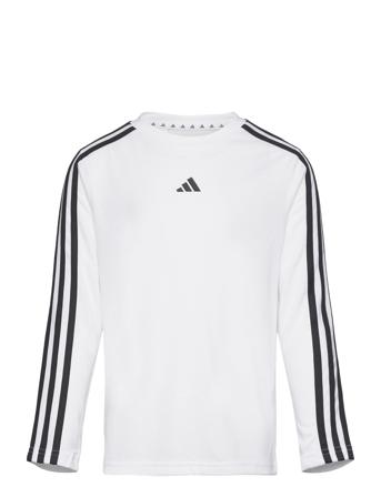 J Tr-Es 3S Ls White Adidas Sportswear