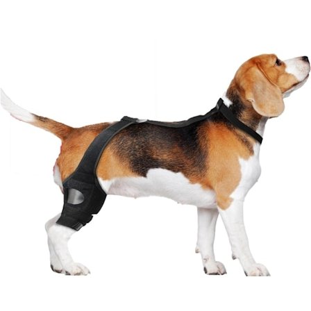 /Hc/Hund ACL knäskydd, hund knäskydd för trasigt ACL bakben, hund ACL stöd bakben, hund benstöd för bakben, hund höftstöd, korsbandsbandage för knä...