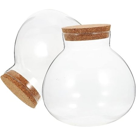 2 stk. Stoppere Beholder Låg Figur Lille med Forseglede Cm Hjem Glas Kugleformet Praktisk Planter Gennemsigtig Krukker Klar Landskabspleje Opbevaring 
