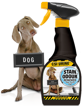 CSI URINE Dog Spray 500 ml