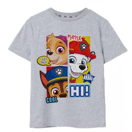 Paw Patrol Boys Peekaboo T-Shirt 5-6 år Gråmelerad