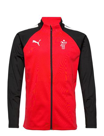 Teamliga Training Jacket Sweatshirt Trøje Multi/mønstret PUMA
