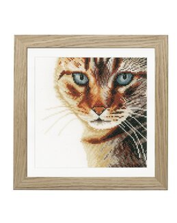 Stickpackung Bild Katze