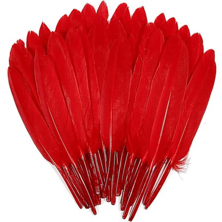 120 st röda gåsfjädrar Cochettes, naturliga, 4-6 tum (10-15 cm), för bröllopsfest, juldekorationer, gör-det-själv-hantverk