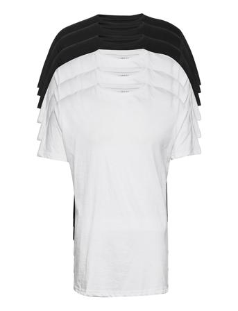 Dp Longy Tee 5 Pack White Denim Project