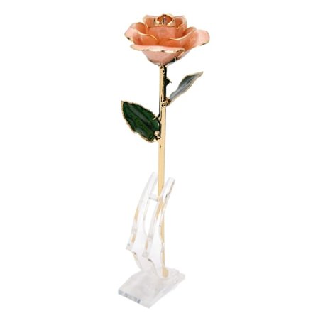 Gullbelagt rose 24K gullbelagt rose med stativ for Valentinsdag og jubileum rosa