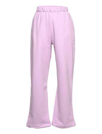 Nlfocollege Straight Pant Purple LMTD