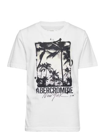 Kids Boys Graphics White Abercrombie & Fitch