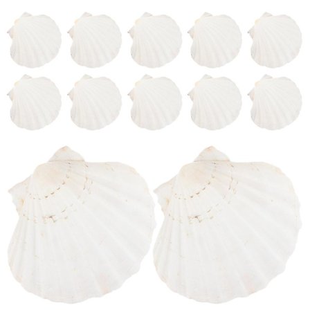 12 stk naturlige bake-skjell matlaging dampende skjell servise