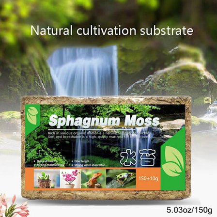 1-pak Naturlig Sphagnum Komprimeret Vandmos Orkide Havearbejde Grøn One Size