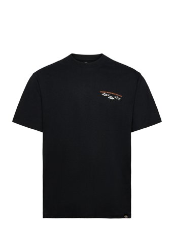 Dickies | M Laryville Tee Ss | M
