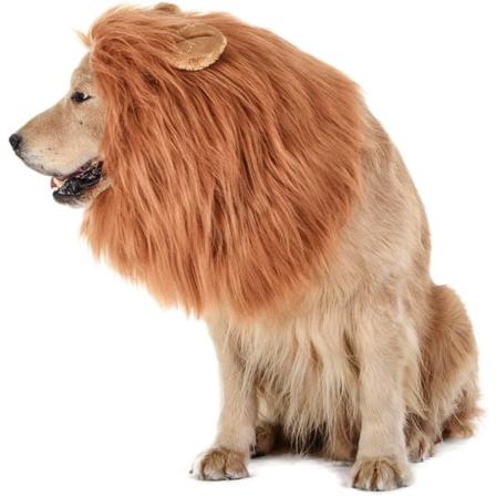 CDQ TOMSENN Hund Lejonman - Realistisk och rolig lejonman för hundar -